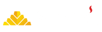 logo subire principal
